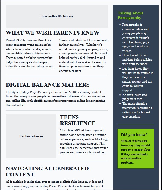 Draft Cyber Insiders newsletter page 3